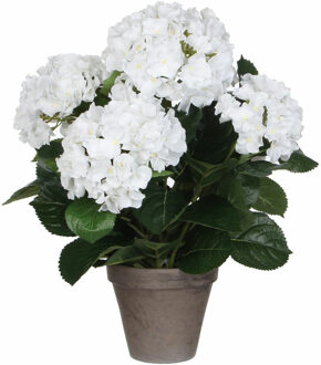 Mica Decorations Witte Hydrangea/hortensia kunstplant 45 cm in grijze pot