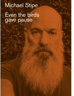 Michael Stipe: Even The Birds Gave Pause - Michael Stipe