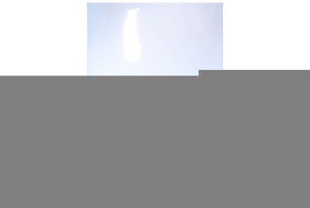 Mick 8001 sneakers Veelkleurig - 44