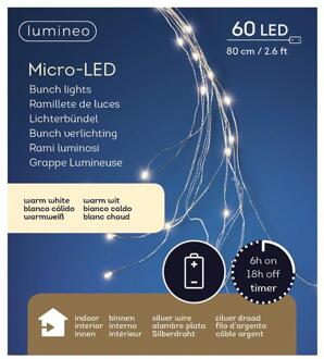 Micro LED bunch 80cm-60L zilver/warmwit Transparant