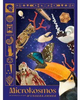 Microkosmos - Harry Tupan