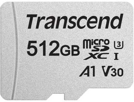 microSDXC 300S 512 GB Zilverkleurig