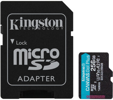 microSDXC Canvas Go Plus 256GB