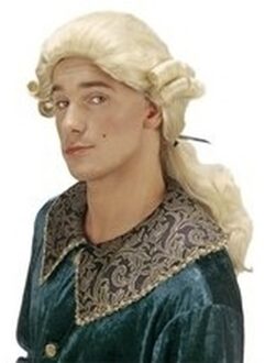 Middeleeuwse lakei carnaval verkleed pruik - wit - lang haar - voor heren