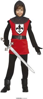 Middeleeuwse Ridder Kostuum Reynaert Kind Multikleur - Print