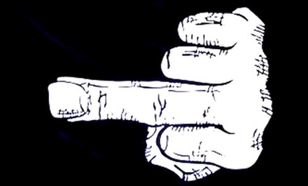 Middelvinger vlag - 150 x 90 cm - zwart/wit - polyester - versiering Multi