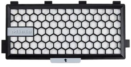 Miele Active AirClean Filter SF-AA50 Filter