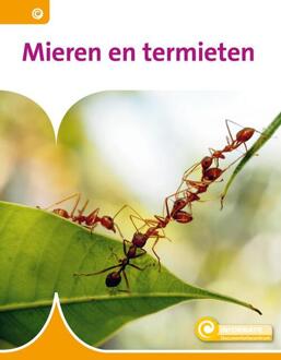 Mieren En Termieten - Informatie