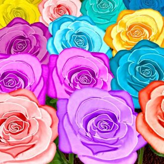 Mijn 365 dagen Boek - (ISBN:9789464189773)