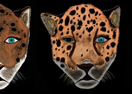 Mijn 365 dagen Boek - (ISBN:9789464189780)