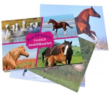Mijn 40 mooiste paarden - Boek Rebo Productions (903663301X)
