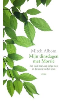 Mijn dinsdagen met Morrie - Boek Mitch Albom (9026327307)