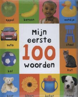 Mijn eerste 100 woorden - Boek Roger Priddy (9000330408)