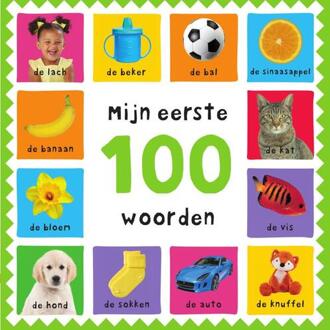 Mijn eerste 100 woorden -  Roger Priddy (ISBN: 9789000392599)
