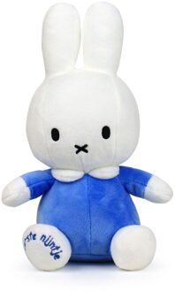 Mijn eerste Nijntje Blauw