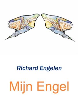 Mijn Engel - Boek Richard Engelen (9461932405)