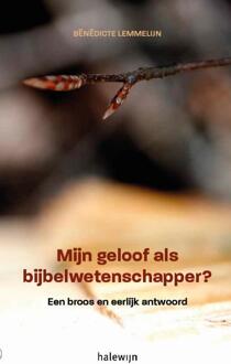 Mijn geloof als Bijbelwetenschapper? - Boek Bénédicte Lemmelijn (9085283949)