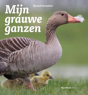 Mijn Grauwe Ganzen - Berend Voslamber