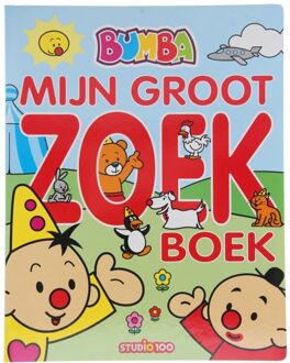 Mijn groot zoekboek - Boek Gert Verhulst (9462771979)