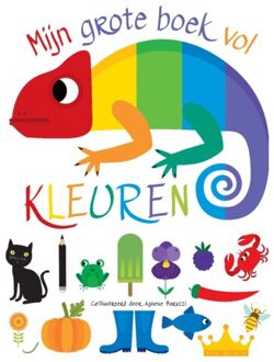 Mijn Grote Boek Vol Kleuren