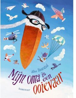 Mijn oma is een ooievaar - Boek Alice Hoogstad (9047707915)