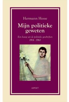 Mijn politieke geweten - Boek Hermann Hesse (9059115155)