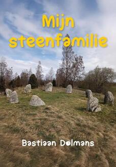 Mijn steenfamilie -  Bastiaan Dolmans (ISBN: 9789463657532)