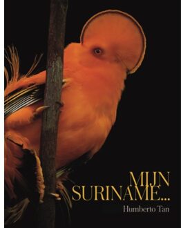 Mijn Suriname
