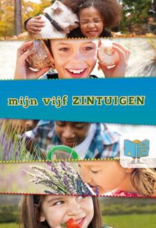 Mijn vijf zintuigen - Boek Tracey Steffora (9463410171)