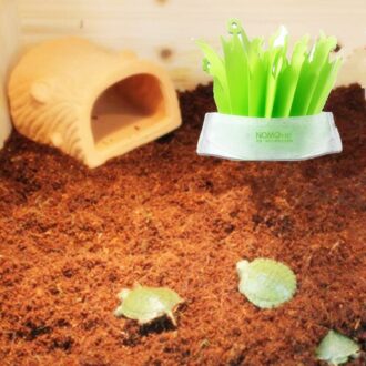 Milieu Reptiel Terrarium Luchtbevochtiger Huisdier Kikkers Hagedissen