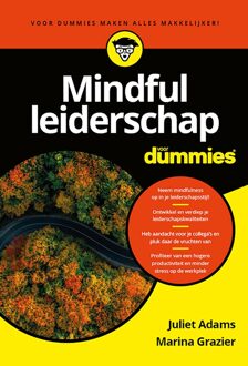 Mindful leiderschap voor Dummies