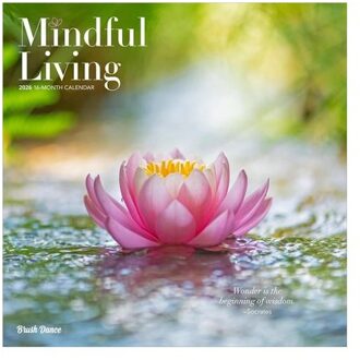 Mindful Living 2026 12 X 24 Inch (Hanging) Monthly Square Wall Calendar Plastic-Free - Brush Dance