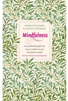 Mindfulness - Boek Mark Williams (905712341X)
