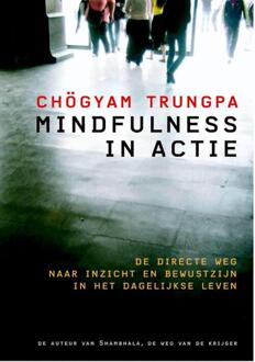 Mindfulness in actie - Boek Chogyam Trungpa (9076681252)