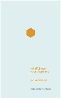 Mindfulness voor beginners + CD - Boek Jon Kabat-Zinn (905712369X)