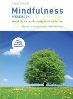 Mindfulness werkboek - Boek David Dewulf (9401451753)