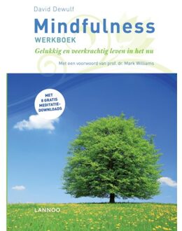 Mindfulness werkboek - Boek David Dewulf (9401451753)