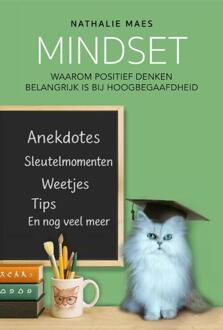 Mindset -  Nathalie Maes (ISBN: 9789462667747)