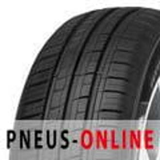 Minerva 209 - 145/60R13 66T