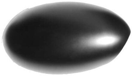 Mini Afdekking, buitenspiegel 1205326