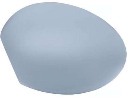 Mini Afdekking, buitenspiegel 1206027