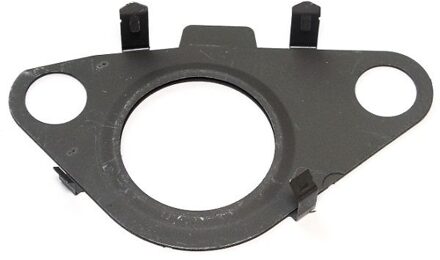 Mini Afdichting, EGR-klep