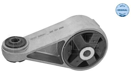 Mini Aslichaam-/motorsteunlager 3002212000