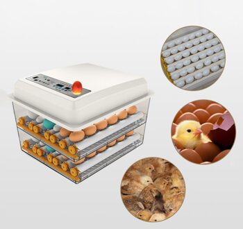 Mini Broedmachine Kleine Kip Vogel Ei Incubator Hatchers Pluimvee Broederij Machine Eieren 16 Uitkomen Voor Kwartels Papegaai Eend Duif