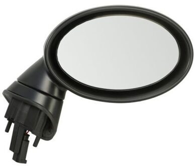 Mini Buitenspiegel 5402041129954P