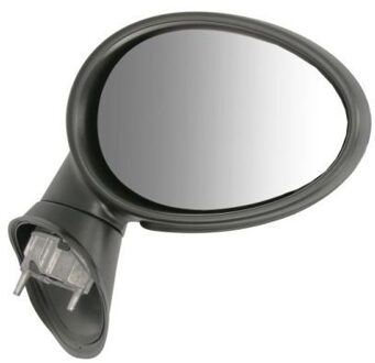 Mini Buitenspiegel 5402050884311P
