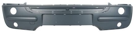 Mini Bumper 5510004001901Q