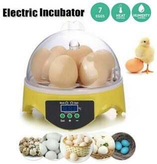 Mini Digitale 7 Eieren Incubator Automatische Temperatuur Broedmachine Kip Eend Vogel Ei Hatcher 110 220V Pluimvee Broederij Machine
