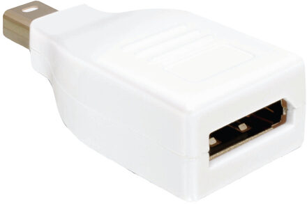 Mini DisplayPort - DisplayPort Adapter - Wit