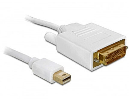 mini DisplayPort naar DVI 24+1 kabel, 1 m